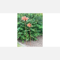 Blomst Lily Metal, rust