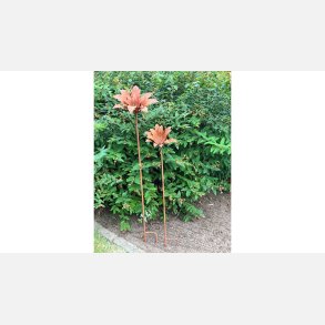 Blomst Lily Metal, rust