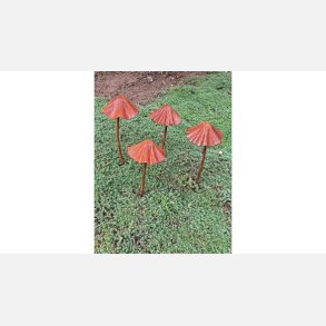 Paddehat rust, st af 2 stk