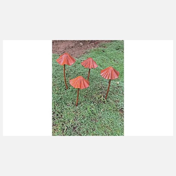 Paddehat rust, st af 2 stk