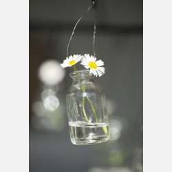 Flaske mini t/blomst m/wire