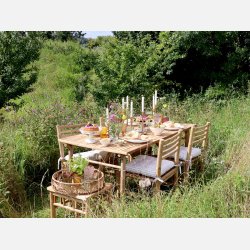 Saint-milion Glas m. mnster, vand