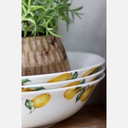 Maison Citron Sk�l