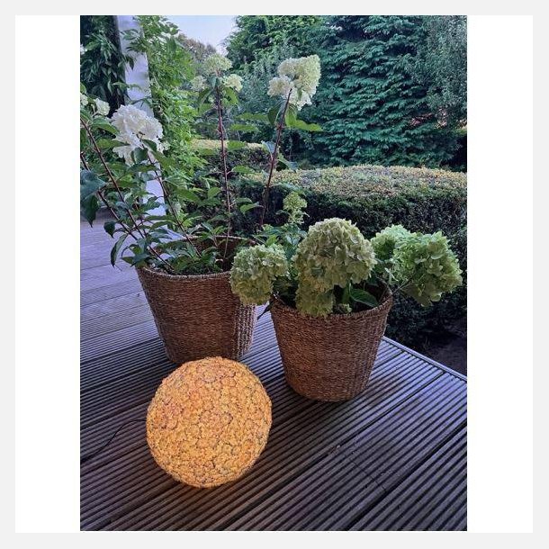 LED LAMPE - BLOMST- solcelleopladning