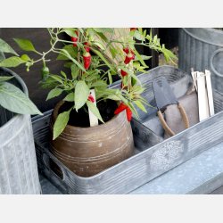 Bakke m. 4 rum, zink