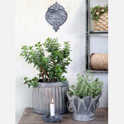 Fransk Sylteglas, lille