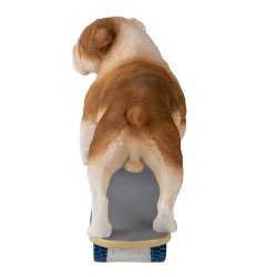 Bulldog p skateboard