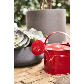 Alvin vandkande rd, 5 l