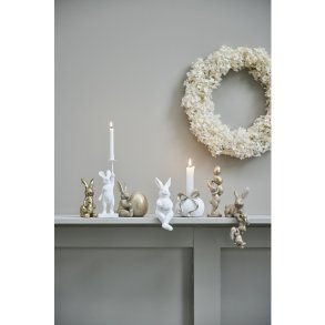 kanin m unge til kant, guld