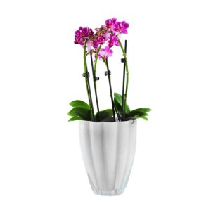 ANNELI Orkidpotte i  hvid glas