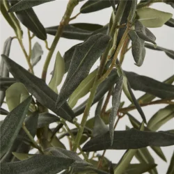 PON FLORA BLOMST RHVID