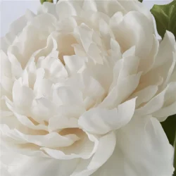 PON FLORA BLOMST RHVID