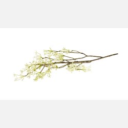 Silkeblomst gren for�r cream/gr�n