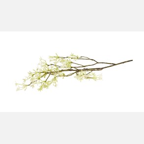 Silkeblomst gren for�r cream/gr�n