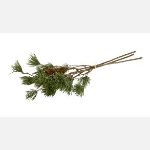 Silkeblomst Pine gren 3 stk
