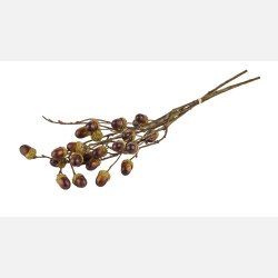 Silkebl0mst Acorn 3 stk.
