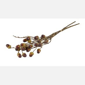 Silkebl0mst Acorn 3 stk.