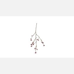 silkeblomst gren/blomst bordeaux