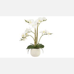  Silkebl. Orkidee/Potte, 5 grene Hvid