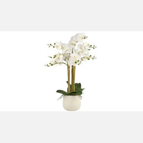 Silkebl. Orkidee/Pot, 7 grene, hvid
