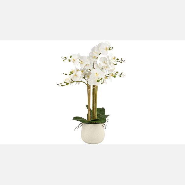 Silkebl. Orkidee/Pot, 7 grene, hvid