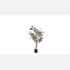 Silkebl. Myrtle Tr, lille