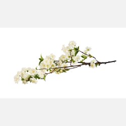 Silkebl. Kirsebrgren L:90 cm Hvid