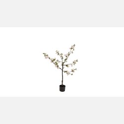 Silkeblomst Kirseb�rtr�, lyser�d