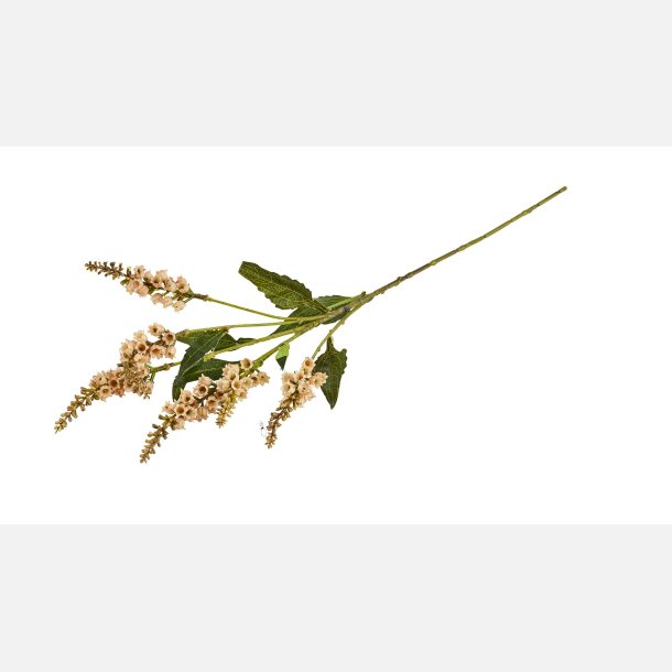  Silkeblomst Gren/Klokke