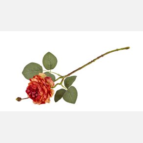 La Vida, Silkebl. Ranunkel L:46 cm Orange