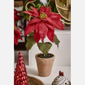 Silkeplante Julestjerne R�d. Cement pot
