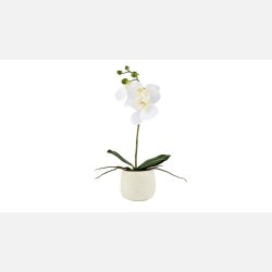 La Vida, Silkeblomst 1 gren Orkidee 36x13 cm Hvid. i Cement pot