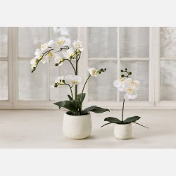 La Vida, Silkeblomst 1 gren Orkidee 36x13 cm Hvid. i Cement pot