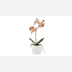  Silkeplante Orkidee 36x13 cm Rosa. Cement pot