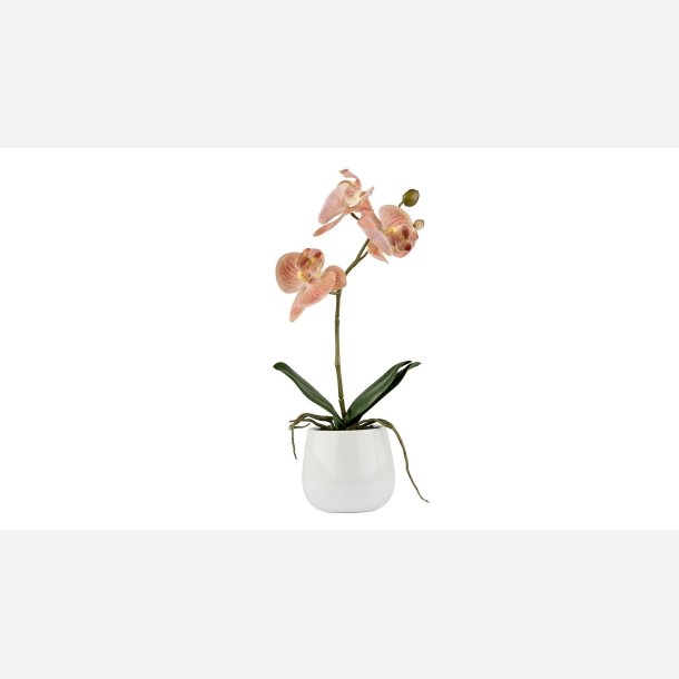  Silkeplante Orkidee 36x13 cm Rosa. Cement pot