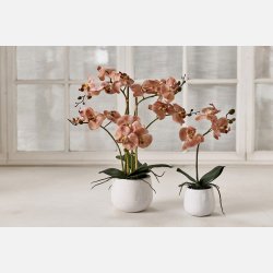  Silkeplante Orkidee 50x40 cm Rosa. Keramik pot