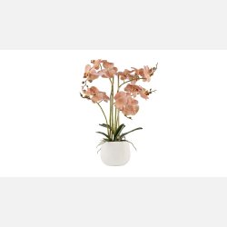  Silkeplante Orkidee 50x40 cm Rosa. Keramik pot