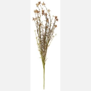 BLOMST/STILK, brunlige nuancer