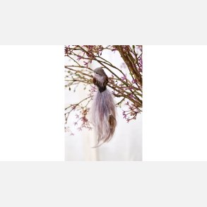 Fugl Clips 17 cm Rosa Glitter