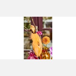 Fugl Clips 17 cm Orange Glitter