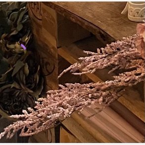 stilk, lyserd la vida