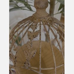 Cira til fuglefoder i rust