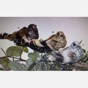 Deko fugl m. clips, mini