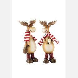 Rensdyr med halst�rkl�de, s�t