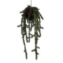 La Vida,  Kunstige grangrene ,h�ngepotte
