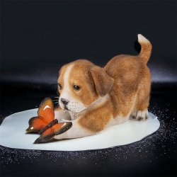 Hund, brun med sommerfugl