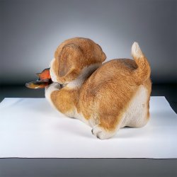 Hund, brun med sommerfugl