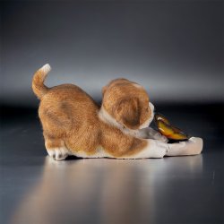 Hund, brun med sommerfugl