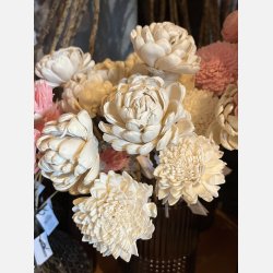 Blomst sola stilk, medium, hvid