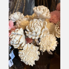 Blomst sola stilk, medium, hvid